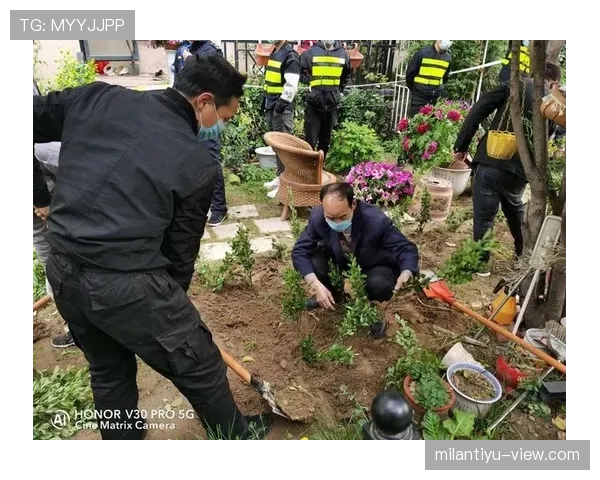 草坪场地规则拆解:标准尺寸与质量对比赛判罚有何影响 草坪场地规则拆解:标准尺寸与质量对比赛判罚有何影响